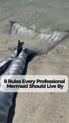8 Rules Every Professional Mermaid Should Live By 🧜‍♀️