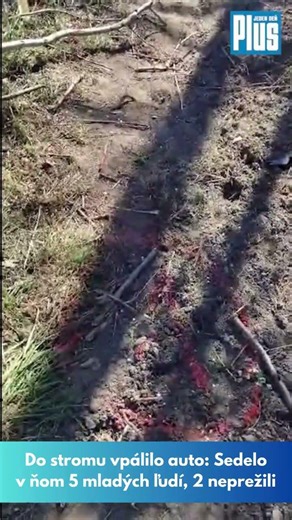 Brutálna havária pri Jablonici: Zomrela aj Tamara († 16), bolestivá reakcia rodiny