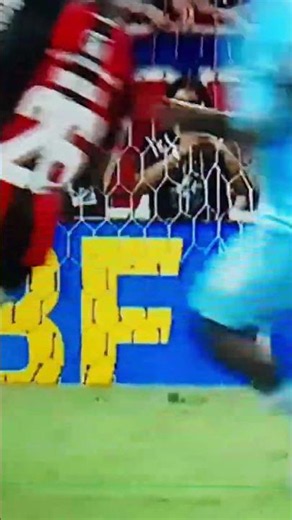 FOTAL #flamengo #futebol #remo #bahia #fortaleza #paysandu #csa #gremio #nautico #libertadores