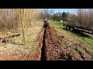 Bamboo Barrier Installation