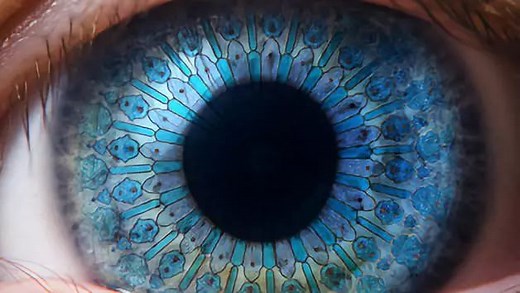 找到你混乱生活中的秩序——Kolmogorov复杂度