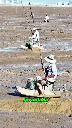 NO ONE CAN BELIEVE HOW THEY FISH IN THE MUD FLATS OF CHINA, The Method Is Incredible #fishing #sh...