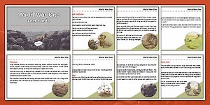 The First World War Fact Cards