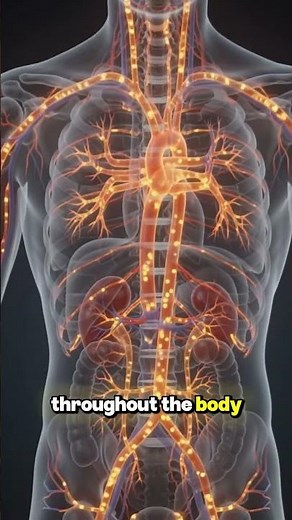 What Stage 4 Kidney Disease Actually Does To Your Body #kidneyhealth #kidneyfailure #healthtips