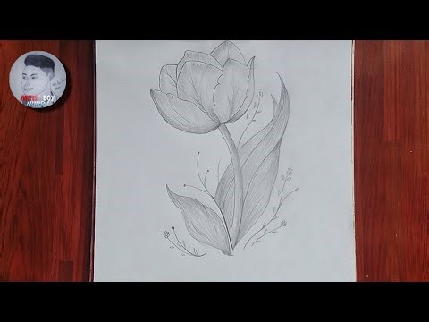 How to draw a Tulip with pencil | Simple Tulip drawing tutorial for beginners ( step-by-step )