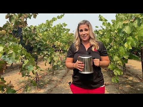 Farm to Home Lesson Series: Sugar Testing Wine Grapes Using a Refractometer