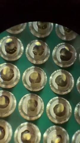 Microscope Showdown: AMD vs. Intel Up Close