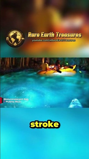 The Glowing Waters of Puerto Rico 🌊 | Bioluminescent Bay Explained!