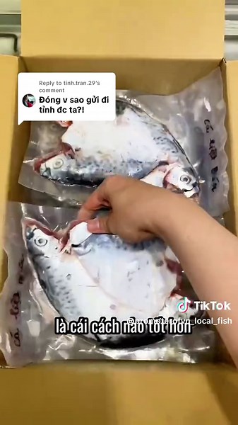 Cách Đóng Thùng Xốp Có Cách Nhiệt Đồ