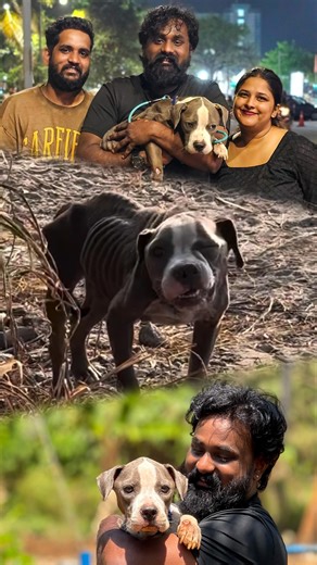 __Dijil k denny__ on Instagram: "🖤🔱 Thank God and Thank You So much @__adv_kar_thi_ka__kri_sh_na__ & @thelegendary_sailor & @caldrin_rebello for your valuable time and support 🫂 A Biggg Huggs ♥️ #dog #karumban #insta #viral #karumbansworld"