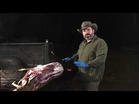 BEGINNER Tailgate Butchering of a Deer | How to Prepare Deer Meat | Teach a Man to Fish