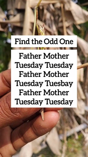 Find the Odd One | Visual Logic Challenge | Ep.97
