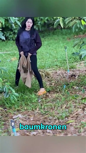 Why do farmers throw these 7-pound fruits from the tree? 😱🌳