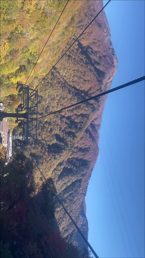谷川岳のロープウェイの紅葉。 #登山 #絶景 #谷川岳 #紅葉