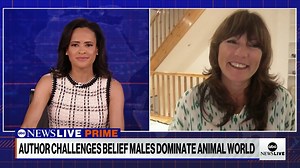 3.6K views · 64 reactions | Zoologist Lucy Cooke talks to Linsey Davis about her new book that addresses misconceptions about sex, gender and diversity in the animal kingdom. | ABC News Live | Facebook