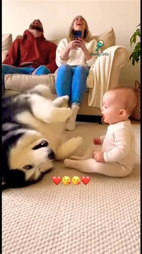 See Cute Baby Howling Battle With Mama Husky…Cutest Moment!🥰🇺🇸😘 #cutebaby #fyp #usashorts