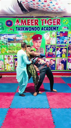 Taekwondo Techniques for Beginners