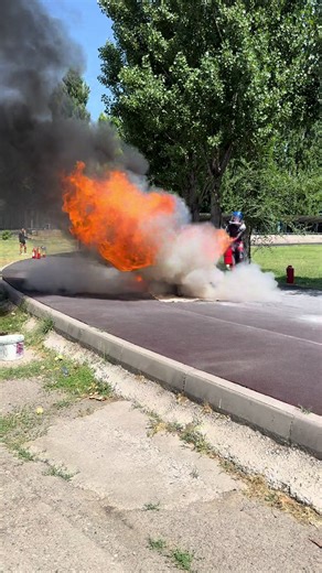 Fake Sonic (@pingable9)’s videos with som original - DM Songs