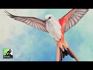 Rahdo Runs Through►►► Wingspan Gameplay