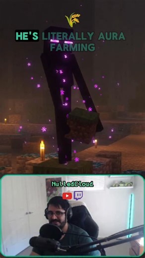 follow on Twitch/YT! #minecraft #minecraftsmp #livestream #twitch #stream | Nulled Cloud