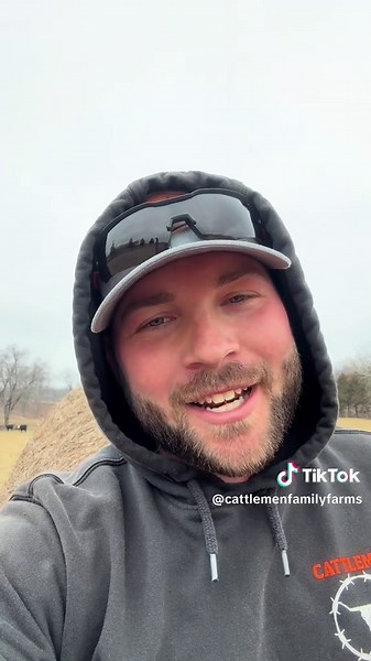 Cattle Farming Challenges and Humor in Daily Life