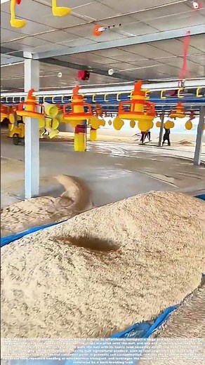 Dragging the Harvest: The Tractor-Powered Skid Mat