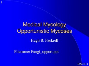 Medical Mycology Opportunistic Mycoses - SlideServe
