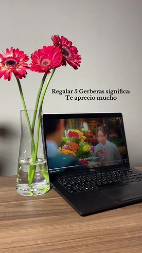 Significado de las Gerberas: Expresa tu Amor