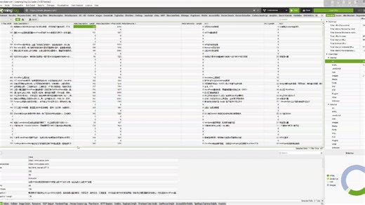 Screming Frog SEO Spider尖叫青蛙使用教程