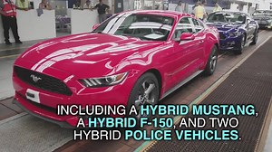 17K views · 480 reactions | ICYMI: Ford cancels plan to build plant...