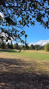 Rien de mieux qu’un séjour en camping à Shediac. ⛺️ Entre les couchers de soleil sur la mer, les feux de camp entre amis et les parties de golf, chaque moment devient un souvenir parfait. Des endroits comme South Cove Camping & Golf offrent non seulement de magnifiques emplacements, mais aussi un parcours de golf par 3, une belle façon de profiter pleinement de la côte! 🏌️‍♀️ -- There's nothing like camping in Shediac! ⛺️✨ Whether you’re after ocean views, cozy campfires, or a weekend on the gr