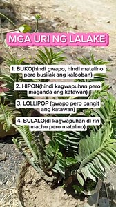 593K views · 606 reactions | Mga uri Ng lalaki #mgauringlalake #men #LALAKE #reelsviralシ #reelsvideoシ #highlightsシ゚ #highlightseveryone #everyoneシ゚ #fbreelsfypシ゚ #everyonehighlights #fbreelsfypシ゚viralシ #fypviralシ #fbreelsvideo #fbreelsfypシ゚viralfbreelsfypシ゚viral #trendingnow #viralvideo #highlight #reelsfypシ | Beng Stories | Facebook