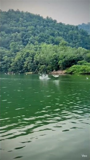 “💪Stay Silent. Stay Powerful🔥.”