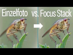 Focus Stacking 2.0 for ultimate sharpness in macro photography (4K)