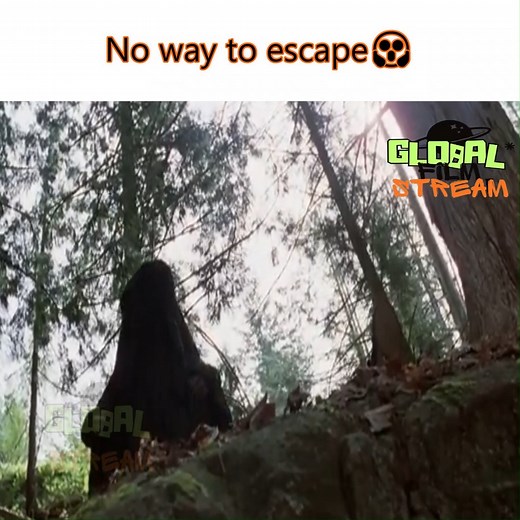 149K views · 3.1K reactions | No way to escape | Global Film Stream | Facebook