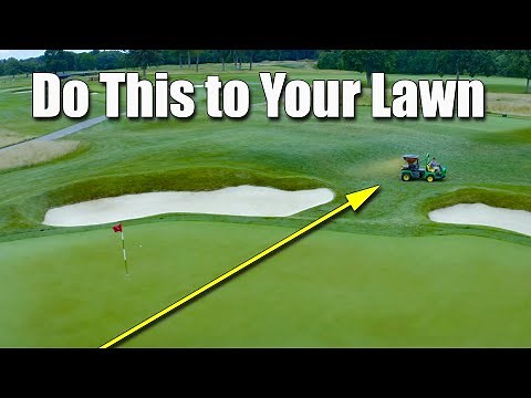 Organic Lawn Fertilizer and Treatment - Golf Course Lawn