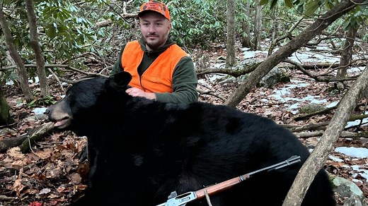 With rifle season soon getting underway, here's how many bears were taken so far in Pa.