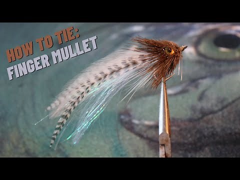 Fly Tying Tutorial - Finger Mullet