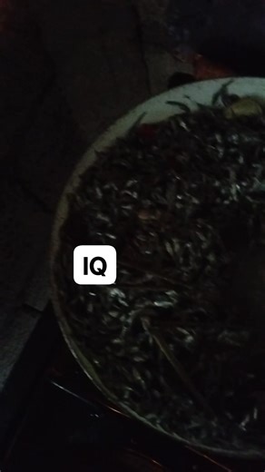 Yummy Lucious tiny fish | Applepie M. Quiliope