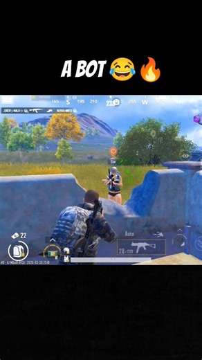 a fake bot prank😂