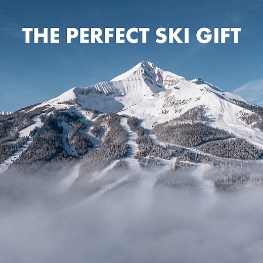 The Perfect Gift for the skier who has it all. Over 200 Ski Maps by One Legendary Artist in a brand new book | James Niehues