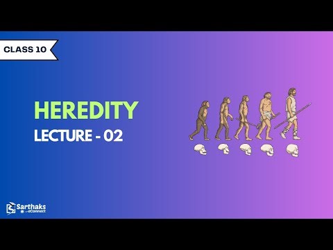Heredity L2 | NCERT Class 10 Science