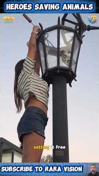 Heroes Saving Animals in Real-Life Rescues 🐾 | Part 21 ❤️