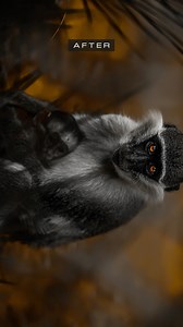 Photo Editing Tips ↓ **Shoot smart, edit smarter.**✍🏼 Get your camera settings and composition right before you click the shutter. Always shoot in RAW so you have more flexibility when editing. **Light is everything.** 💡 Good lighting captures more detail and gives you more to work with in post-production. Make sure your photos are well-lit to get the best results. **Color it your way:** 🎨 Don’t be afraid to adjust the colors in your photos to create the desired effect. You can use a variety 