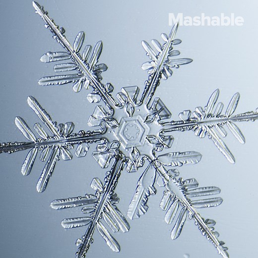 These beautiful snowflake photos were actually captured using a microscope. | Mashable