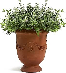 Worth Garden 17.5 in. H. Large Urn Cement Planter - Heavy Duty Concrete Urn Planter Box with Drainage Hole - Tall Plant Pot for Indoor & Outdoor Decor - Rust Color - Small Size