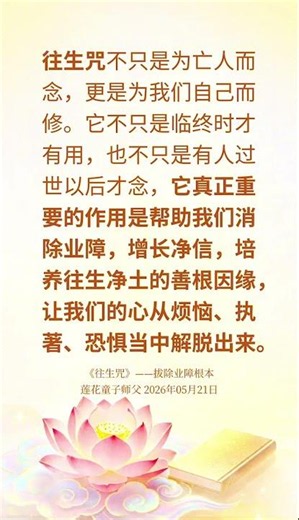 ✨往生咒不只是为亡人而念，更是为我们自己而修 | 法音开示摘选 #大乘普光 #心灵法门 #三佛引領 #正能量 #莲花童子师父 #白话佛法 #正能量