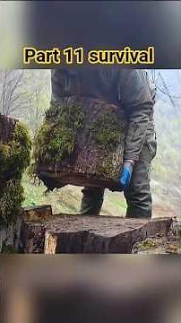 Building a Simple Tree Shelter in the Wild – Survival Skills from Scratch #survival #bushcraft