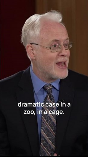 The Chilling Story Of Human Zoos #socrates