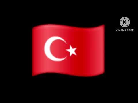 Turkey eas alarm (2023)